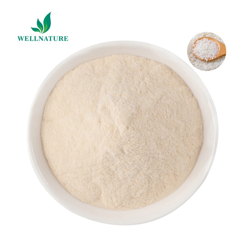 Wholesale Price Hydrolyzed Rice Protein Powder Organic Peptide Rice Protein Powder