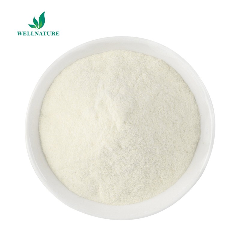 Food Grade Tabilizer Citric Pectin Apple Pectin Apple Pectin Powder 124843-18-1