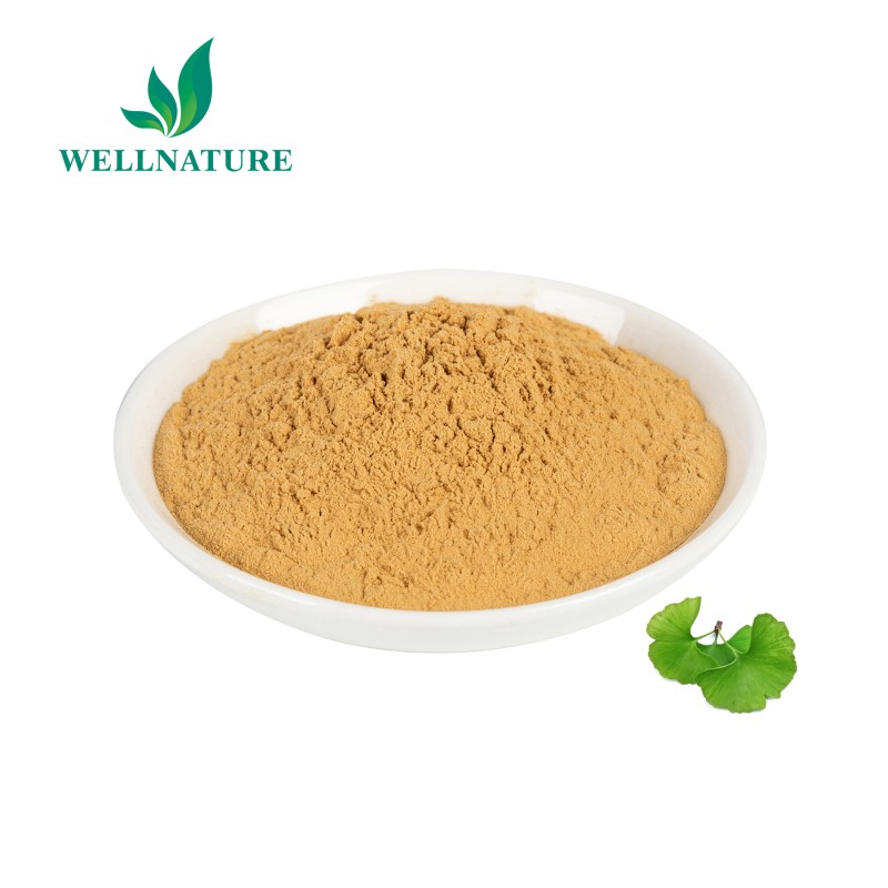 Wholesale Price Grade Ginkgo Leaf Extract Organic Ginkgo Biloba Extract Powder Gingko Extract