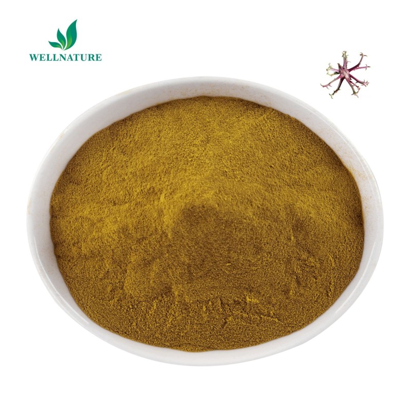 Factory Supply Pure Devil's Claw Root Extract 20%  Devils Claw Extract Powder Harpagosides
