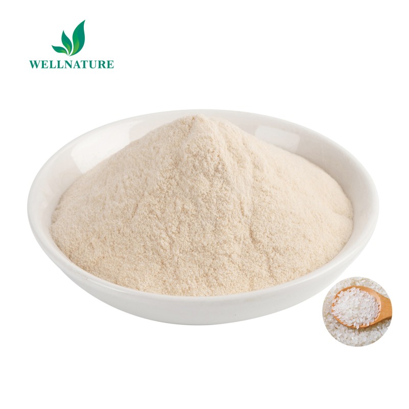 Wholesale Price Hydrolyzed Rice Protein Powder Organic Peptide Rice Protein Powder