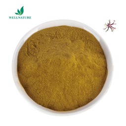 Factory Supply Pure Devil's Claw Root Extract 20%  Devils Claw Extract Powder Harpagosides