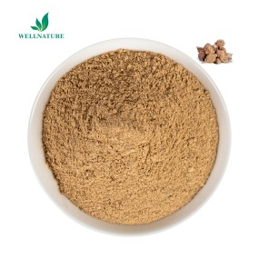 Wellnature Supply Water Souble Black Maca Extract 10:1 Organic Maca Root Extract Powder in Bulk