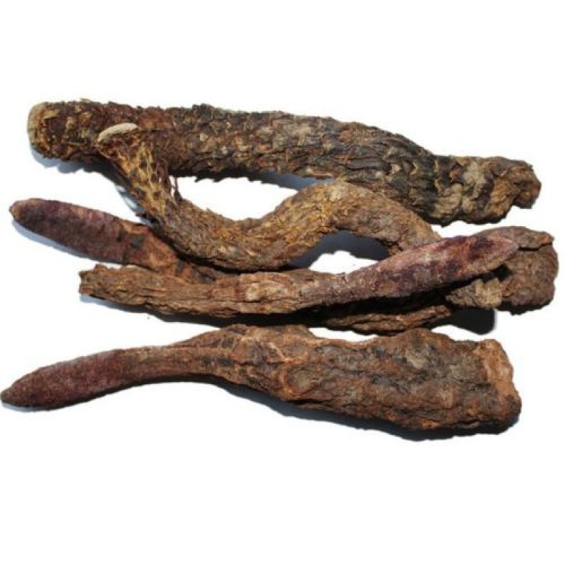 Good Selling 10:1 Cistanche Tubulosa Extract Powder Kopen Cistanche Tubulosa Extract