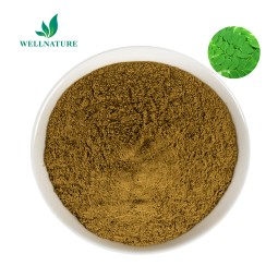 Wholesale Food Additive Free Sample Moringa Leaf Powder Moringa Leaf Extract Powder