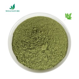 Manufacture Supply Moringa Leaf Powder Extract Moringa Oil Extraction
