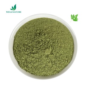 Manufacture Supply Moringa Leaf Powder Extract Moringa Oil Extraction