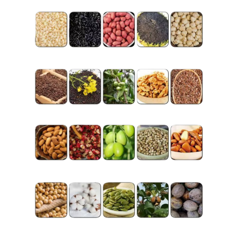 Screw Oil Press Factory - Wholesale Thermostatic Cold-Press for Sunflower Seeds