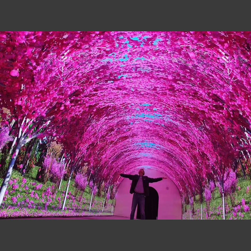 Flexible LED Screen Factory - OEM/ODM Indoor 3D Advertising 360 Curve P1.5 P2.5