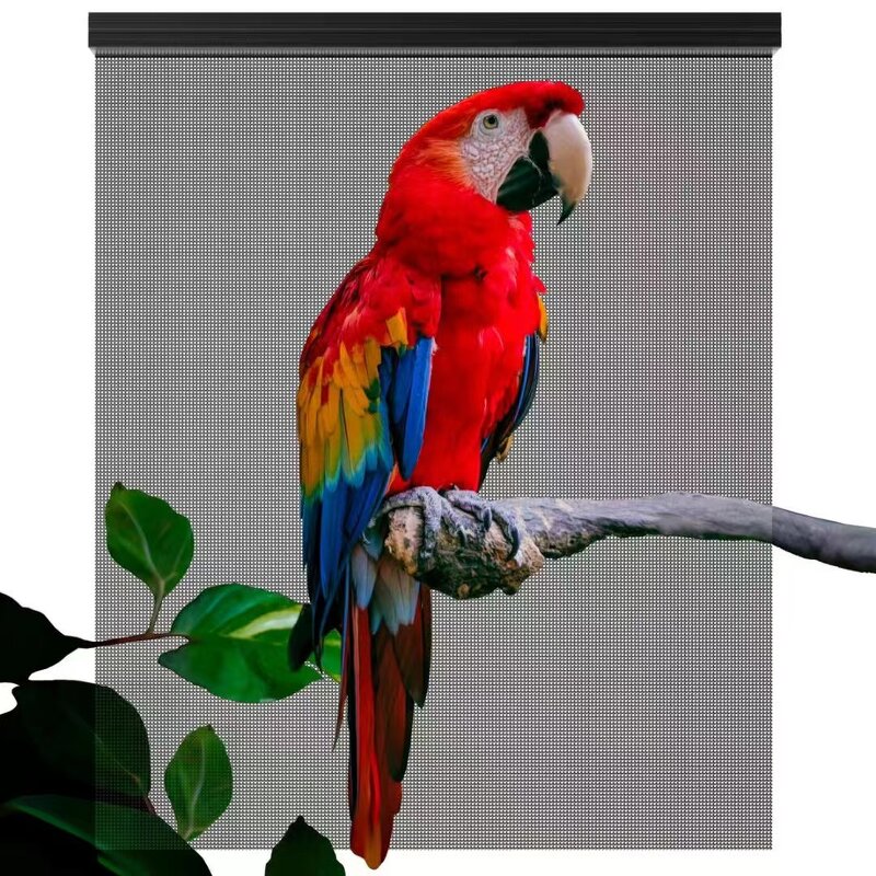 Flexible LED Display Factory - OEM/ODM Super Slim Transparent Soft Adhesive Film P6 P8