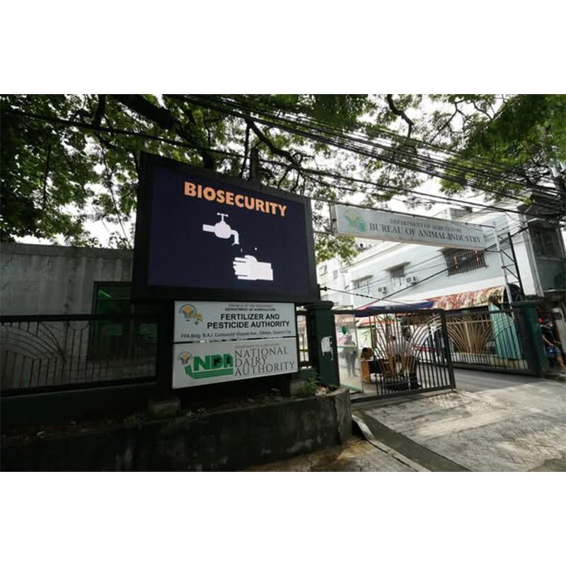 LED Display Modules Factory - OEM/ODM Full Color Waterproof P5 192x192 P5 Screen