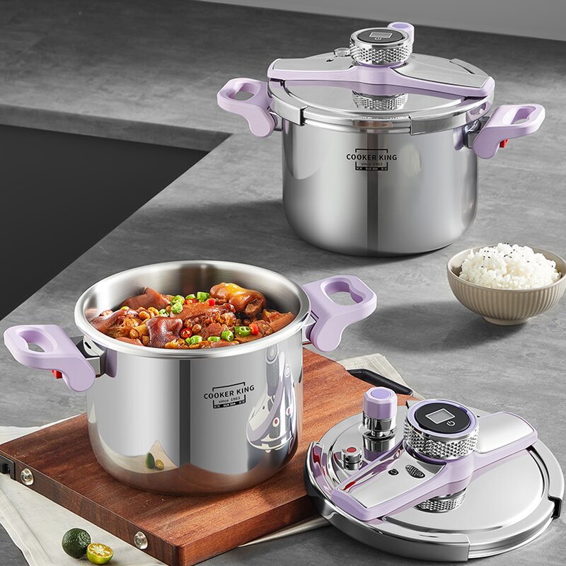 Pressure Cooker Manufacturer - OEM/ODM Eco-Friendly 100KPA Intelligent Timing 6L 8L