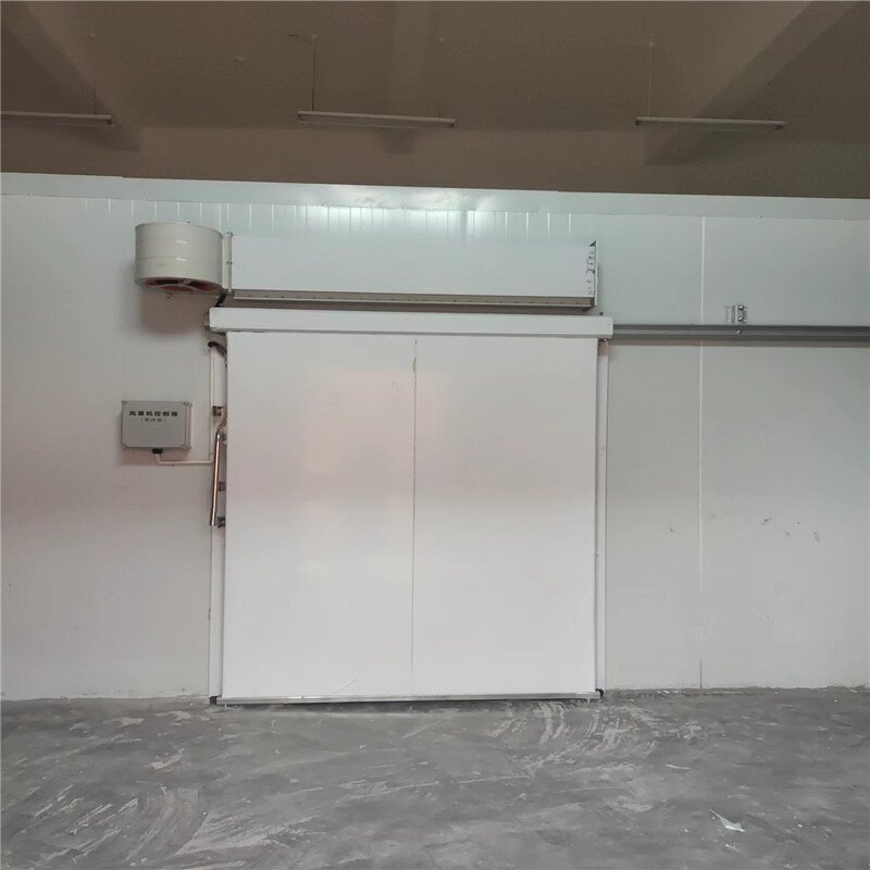 Cold Room Sliding Door Factory - OEM/ODM Modern 100mm Steel Construction Waterproof for Warehouse