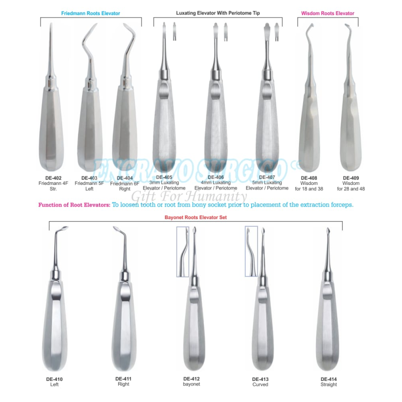 Root Elevator Factory - Hot Selling High Quality Stainless Steel