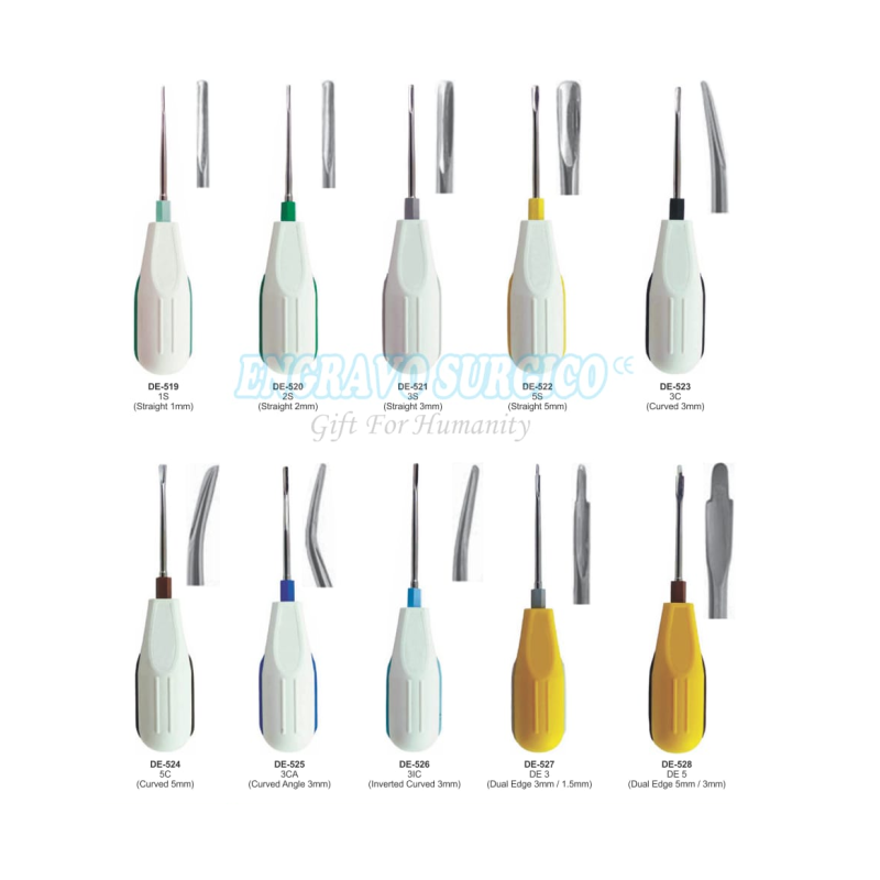 Root Elevator Factory - Hot Selling High Quality Stainless Steel