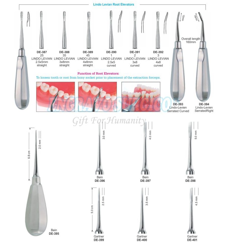 Root Elevator Set Manufacturer - Surgical Stainless Steel Custom Made