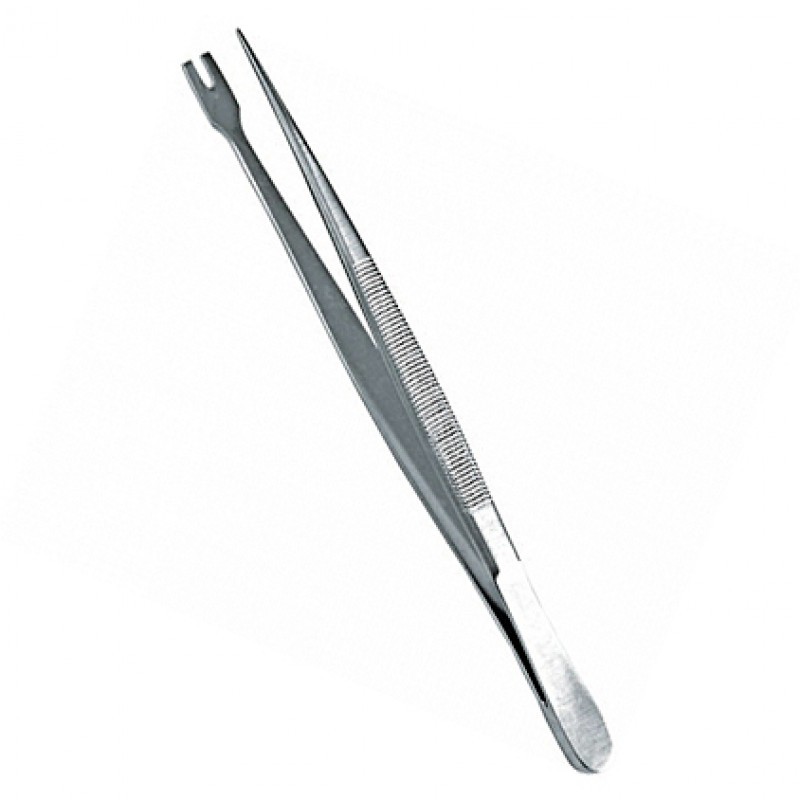 Hegar Scissor Manufacturer - Professional 5.5 Inch Stainless