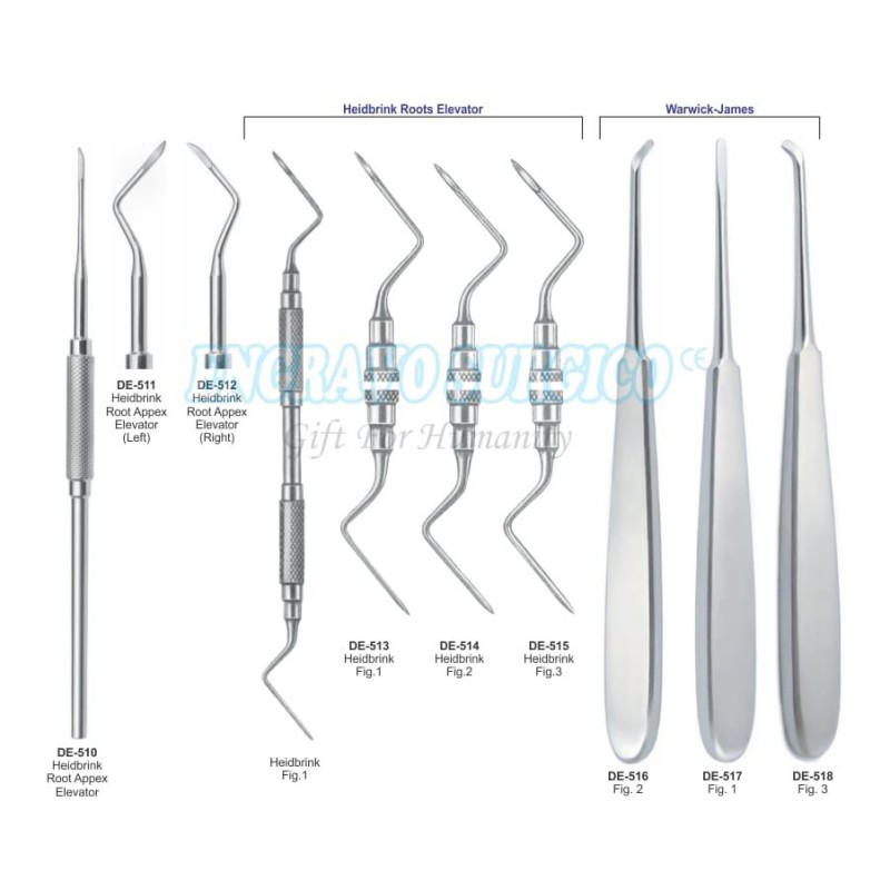 Dental Elevator Factory - High Quality Equipment All Colors Available