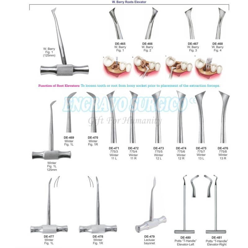 Dental Elevator Manufacturer - German Quality Stainless Steel Surgical