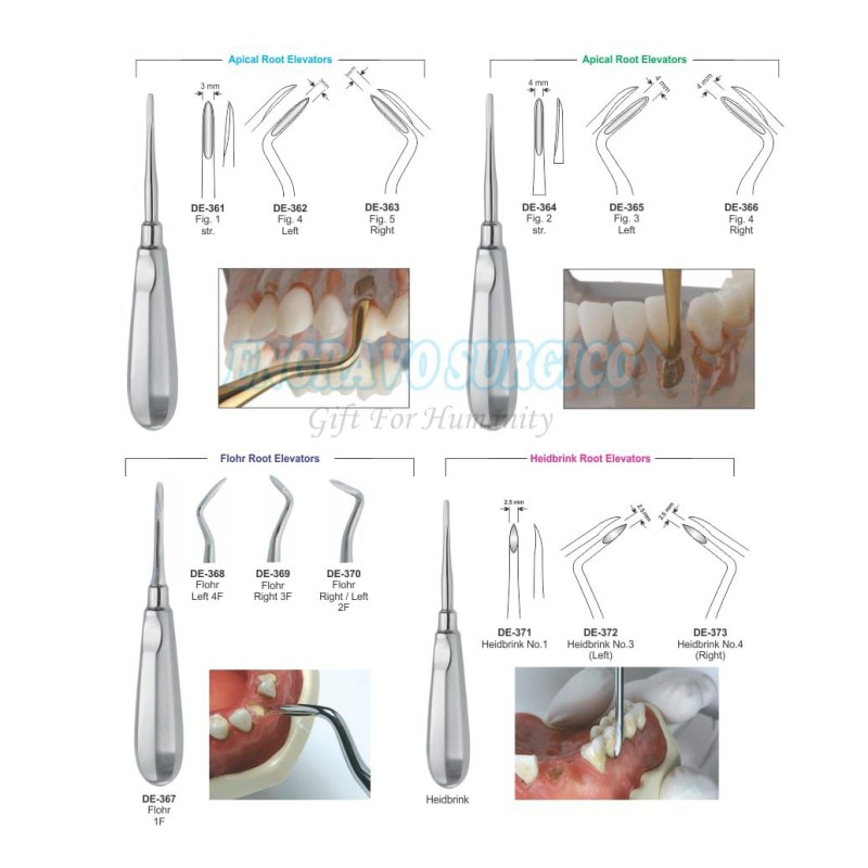 Dental Elevator Manufacturer - German Quality Stainless Steel Surgical