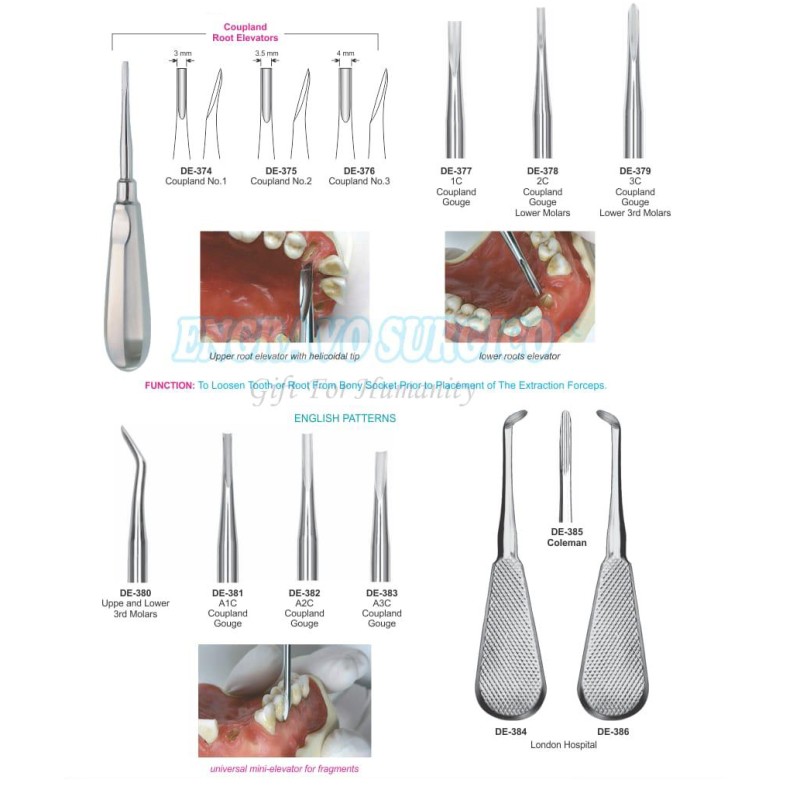 Dental Elevator Factory - Best Selling Stainless Steel Handle Type