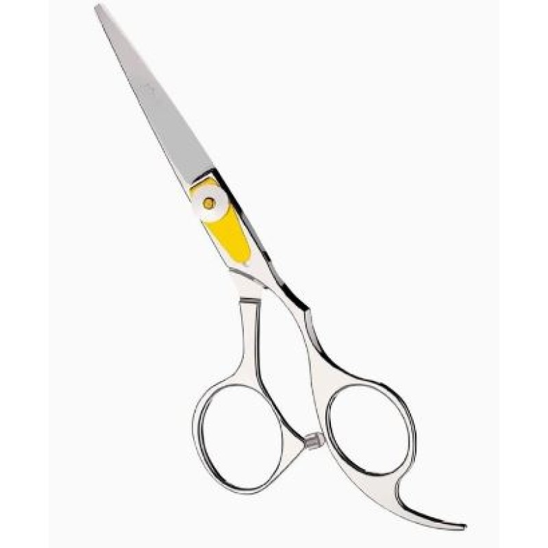 Hair Scissors Manufacturer - Wholesale High Quality Professional