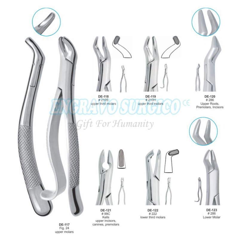 Extracting Forceps Manufacturer - Dental Instruments English Pattern
