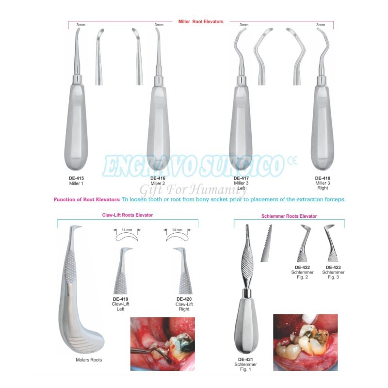 Dental Elevator Factory - Best Selling Stainless Steel Handle Type