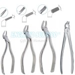 Dental Instruments