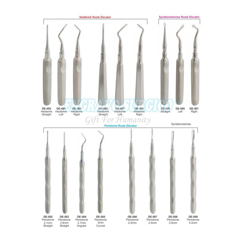 Dental Elevator Factory - Best Selling Stainless Steel Handle Type