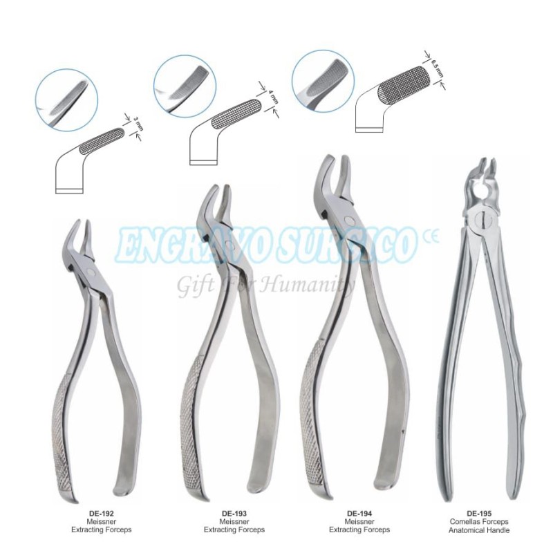 Extracting Forceps Manufacturer - Dental Instruments English Pattern