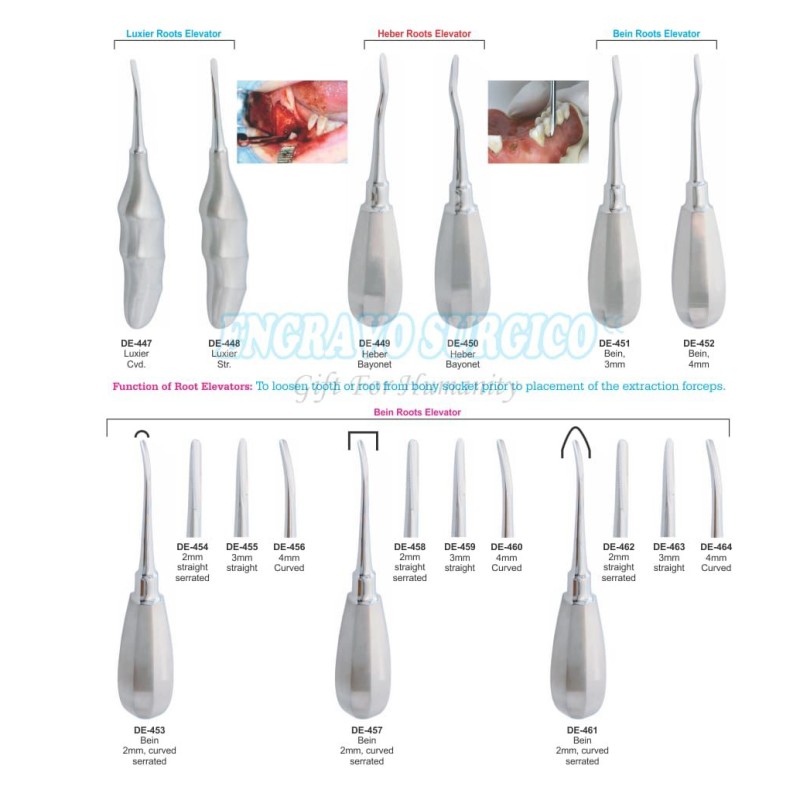 Dental Elevator Factory - Best Selling Stainless Steel Handle Type
