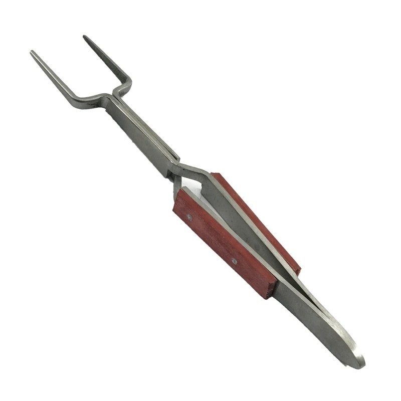 Hegar Scissor Factory - Clamp Gold Loops 6.5 Inch Stainless