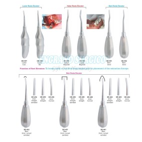 Dental Elevator Manufacturer - Surgical Curved Oral Surgery New Design