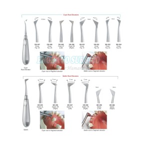 Dental Elevator Factory - Best Selling Stainless Steel Handle Type