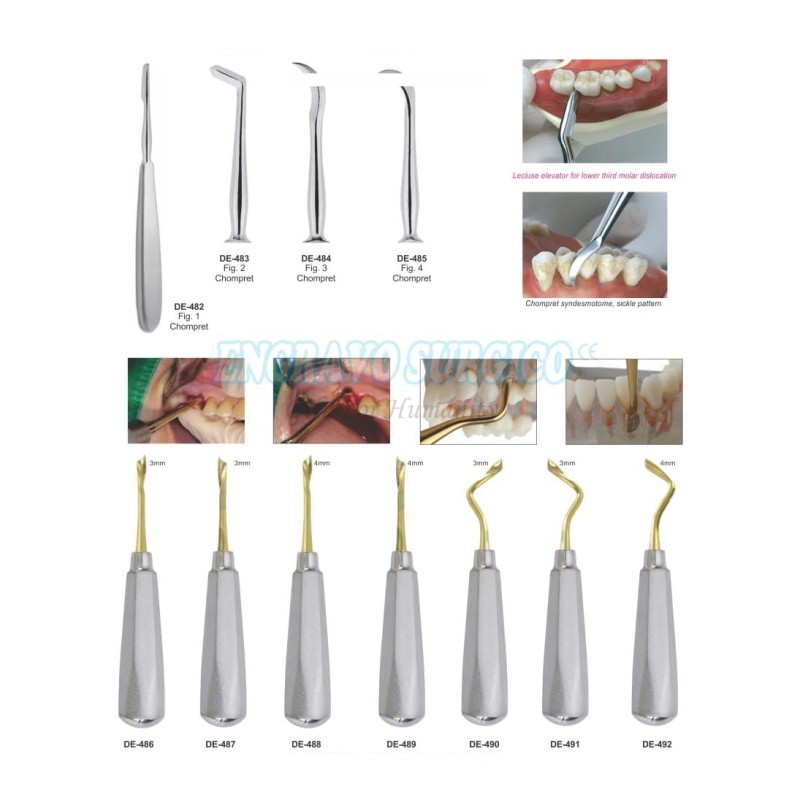 Dental Elevator Manufacturer - Extraction Root Orthodontic Surgical