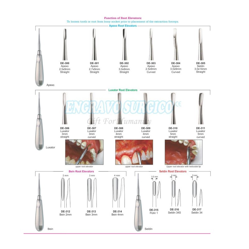 Dental Elevator Manufacturer - German Quality Stainless Steel Surgical