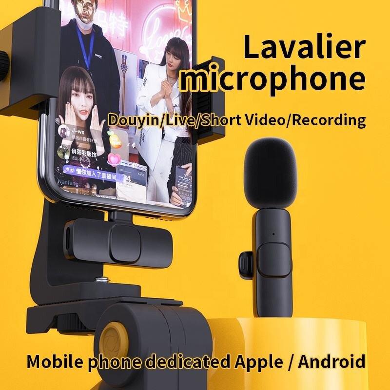 Wireless Microphone System Factory - OEM/ODM High Quality Professional Lapel Karaoke