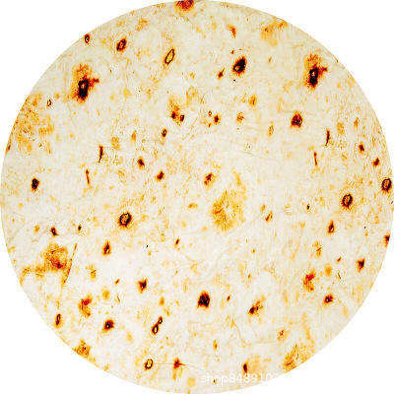 Taco Blanket Factory - X'mas Gift Food Printed Pizza Flannel Blanket