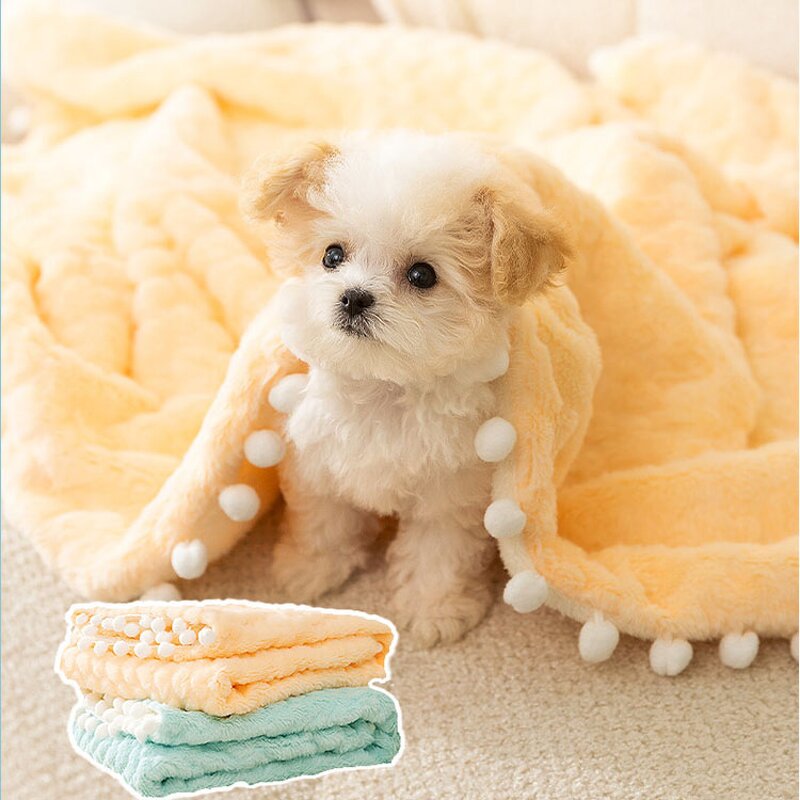 Dog Blanket Manufacturer - Fluffy Premium Soft Paw Printed Washable