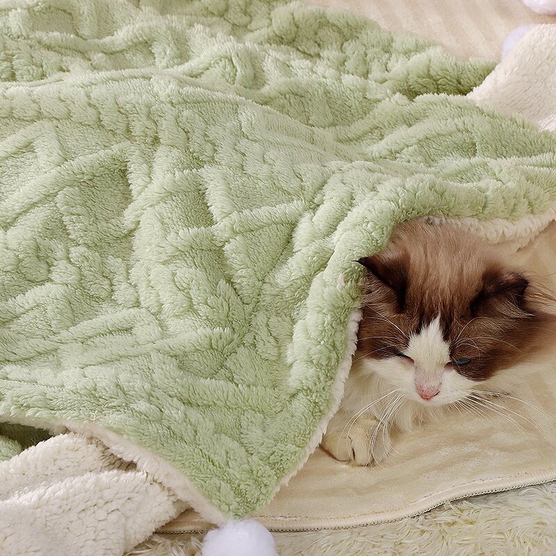 Pet Bed Factory - Manufacturer Wholesale Winter Warm Printed Cushion