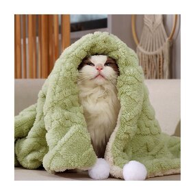 Pet Bed Factory - Manufacturer Wholesale Winter Warm Printed Cushion