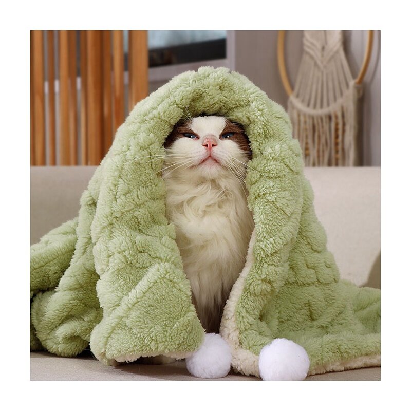 Pet Bed Factory - Manufacturer Wholesale Winter Warm Printed Cushion