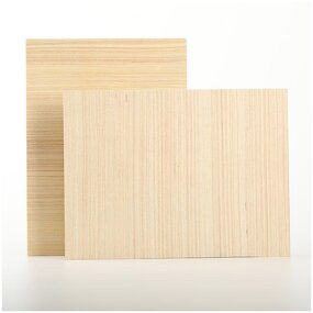 Birch Plywood Manufacturer - OEM/ODM Factory Price E1 Plain Sheet 5-25Mm