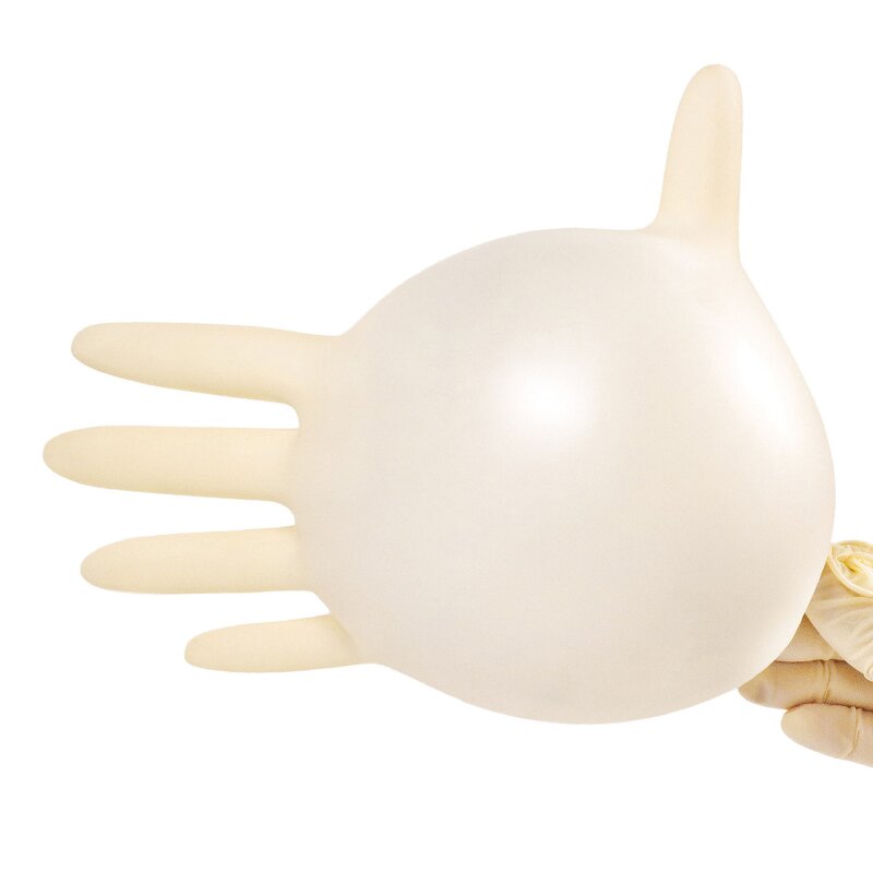 Latex Gloves Factory - OEM/ODM H6004G/M 9 Inch Powder Free Cleanroom 50 Pairs