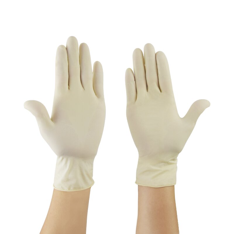 Latex Gloves Factory - OEM/ODM H6004G/M 9 Inch Powder Free Cleanroom 50 Pairs