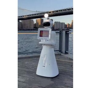 iPad Robot Roamer Supplier - Movable Remote Control for Wedding Rental