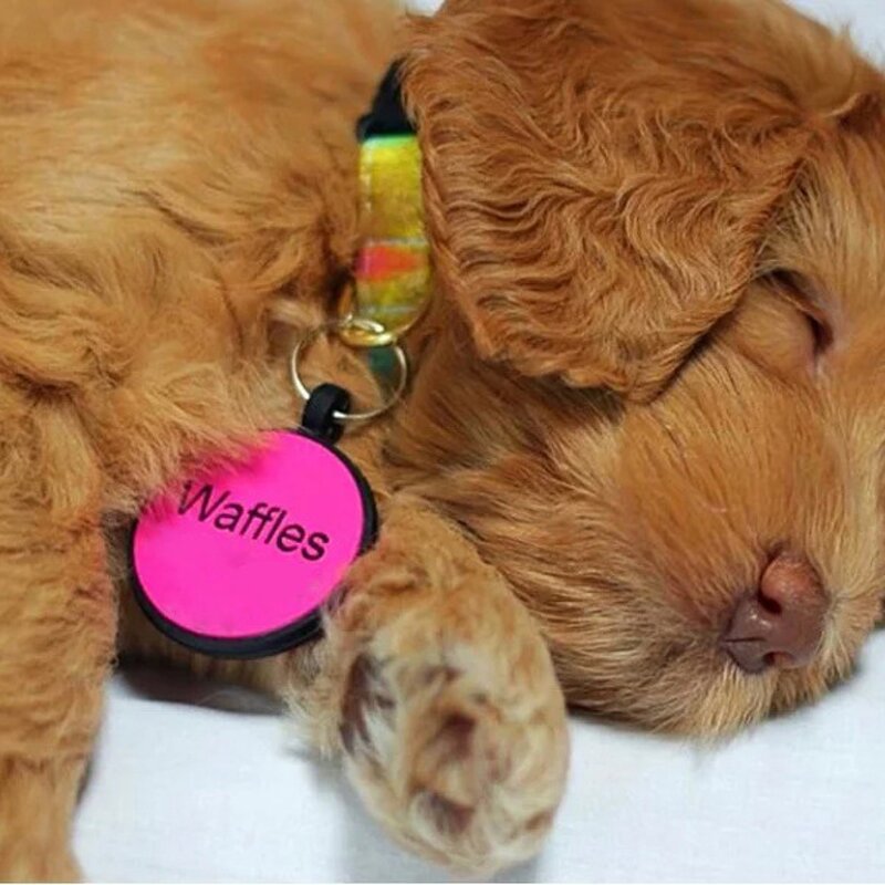 Silicone Dog Name Tags Supplier - Personalized Blank Both Sides Engraving