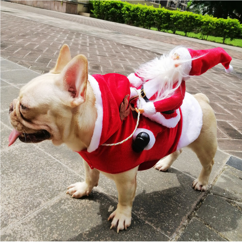 Pet Costume Manufacturer - Cute Christmas Design Eco-Friendly Dog Cat