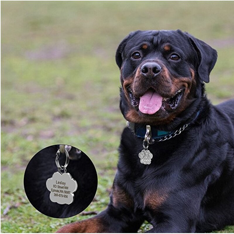 Dog Collar Id Tags Factory - Wholesale Blank Custom Engraving Name with Ring
